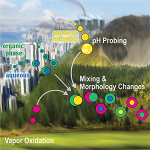 illustration of formation of secondary aerosol mass in the atmosphere