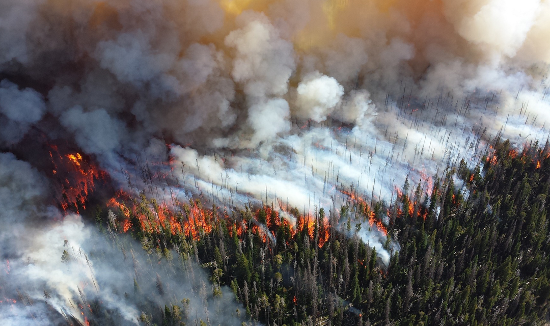 image of wildfires